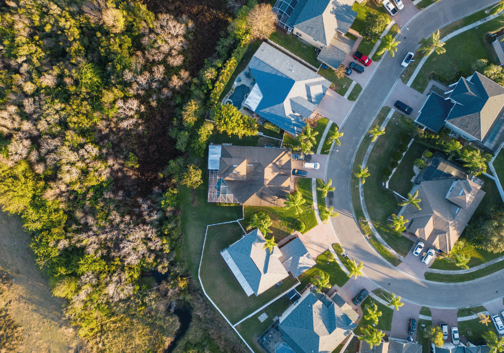 Florida landscaping